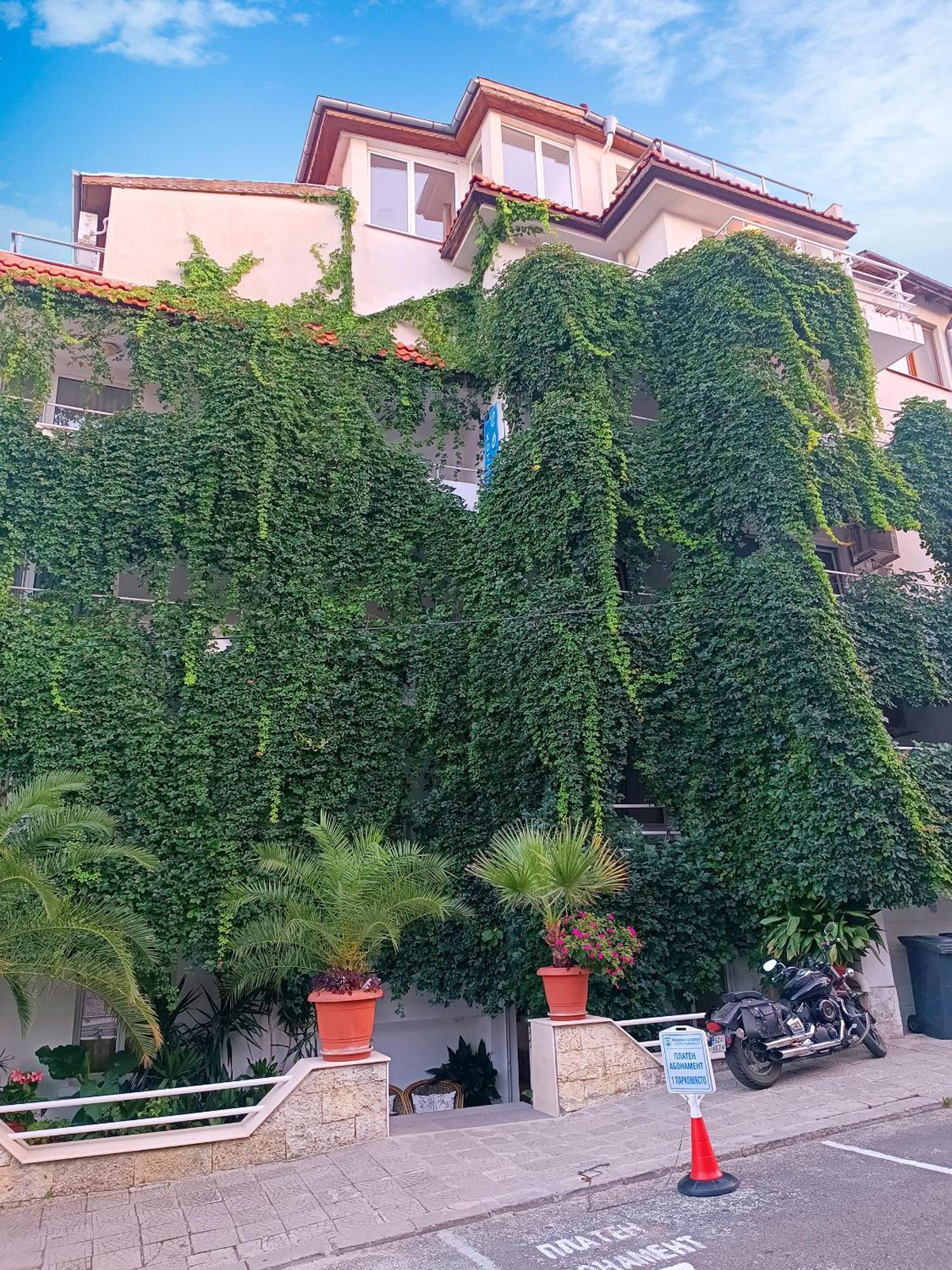 Family Hotel Sofi Созополь Екстер'єр фото